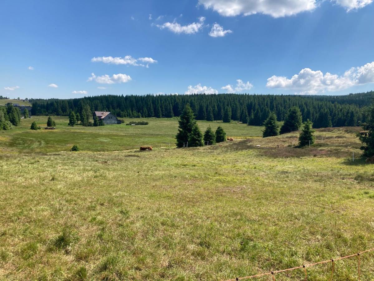 Apartmany V Lese Bedřichov エクステリア 写真