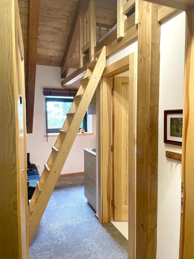 Apartmany V Lese Bedřichov エクステリア 写真