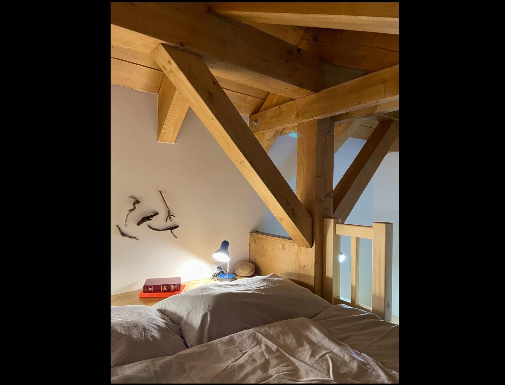 Apartmany V Lese Bedřichov エクステリア 写真