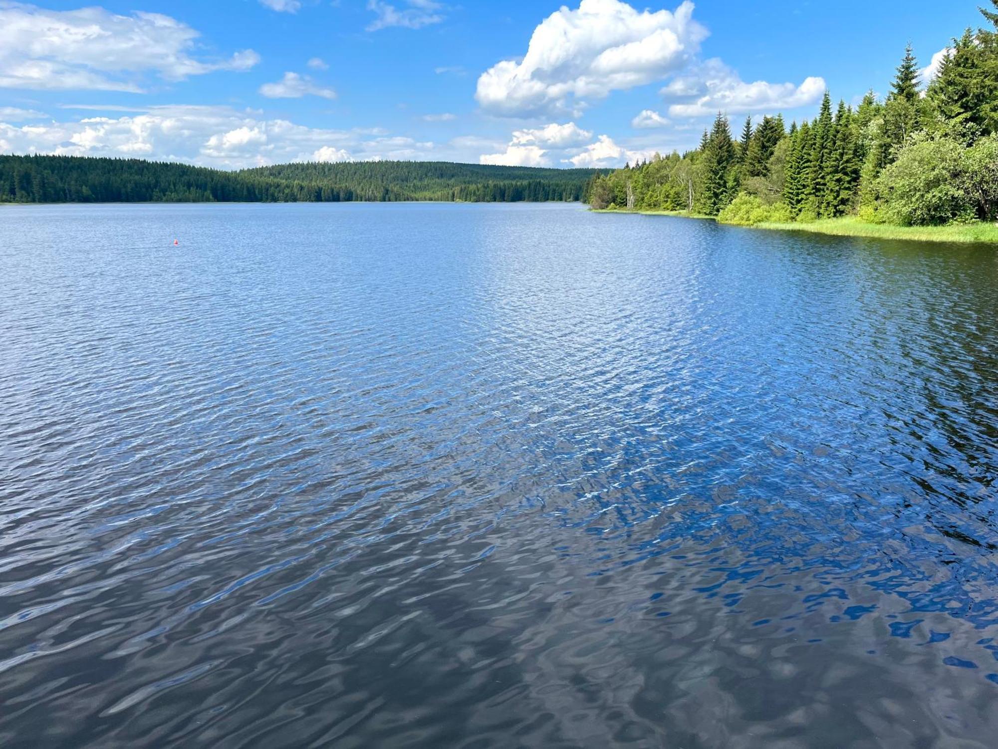 Apartmany V Lese Bedřichov エクステリア 写真