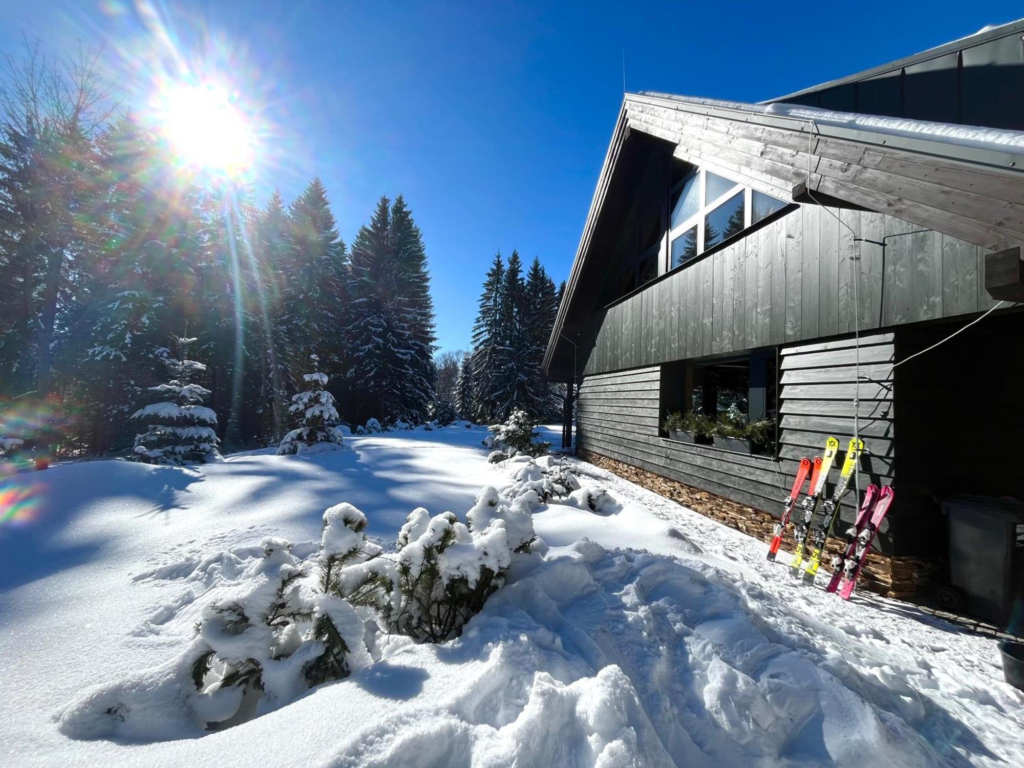 Apartmany V Lese Bedřichov エクステリア 写真
